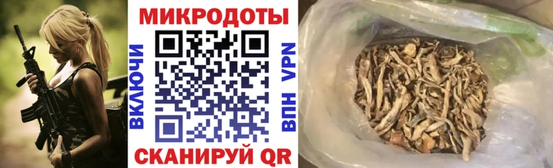 Галлюциногенные грибы Cubensis  Курск 